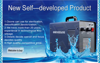 110V 60HZ Household Ozone Generator drinking water water treatment