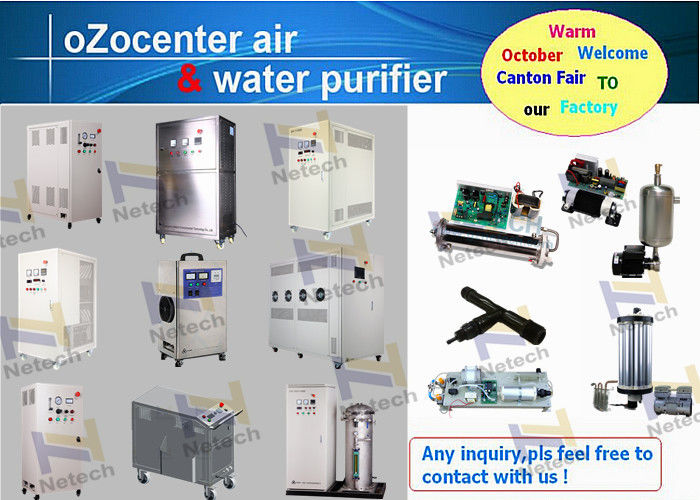 10G 20G Ozone Generator Water Purification , Water Ozonator clean 110V