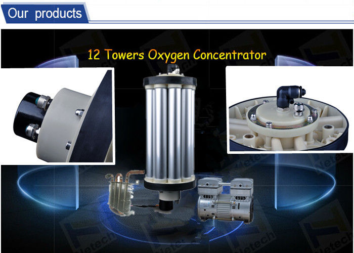 Oxygen Source Ozone Generator For Industry Wastewater Treatment O2 Concentrator